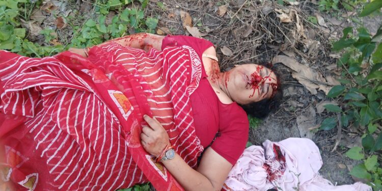 सड़क पर अचानक कुत्ता आने से हादसा, ऑटो पेड़ से टकराया, पांच घायल