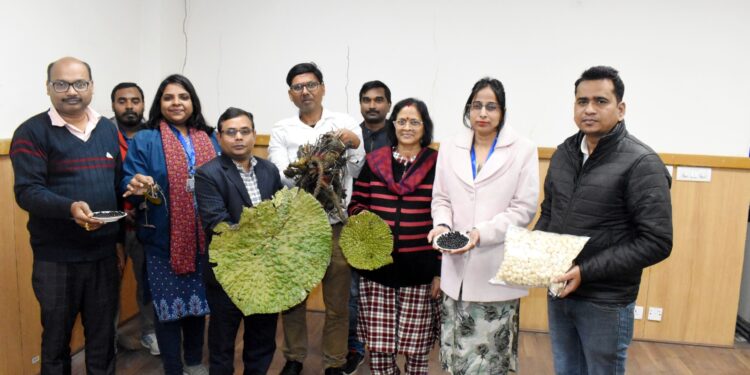 भागलपुर/मुजफ्फरपुर- स्पाइन-फ्री मखाना की उम्मीद, BAU वैज्ञानिक को PM रिसर्च ग्रांट