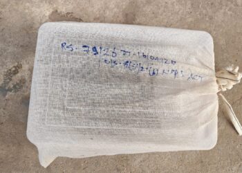 नशे के खिलाफ अररिया पुलिस की बड़ी कार्रवाई, महिला तस्कर गिरफ्तार