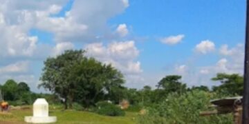 बिहार पुलिस  ड्रग्स एवं नारकोटिक्स की तस्करी की रोकथाम हेतु काफी गंभीरता से कार्य करें: मुख्य सचिव