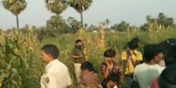 तीन दिनों से लापता युवक का शव मक्के के खेत में मिलने से इलाके में सनसनी