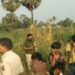 तीन दिनों से लापता युवक का शव मक्के के खेत में मिलने से इलाके में सनसनी