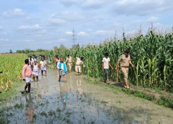 मकई के खेत में महिला की गला रेतकर हत्या, इलाके में फैली सनसनी