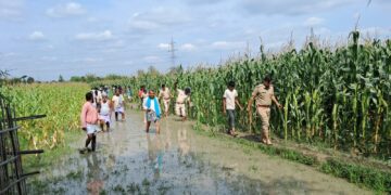 मकई के खेत में महिला की गला रेतकर हत्या, इलाके में फैली सनसनी