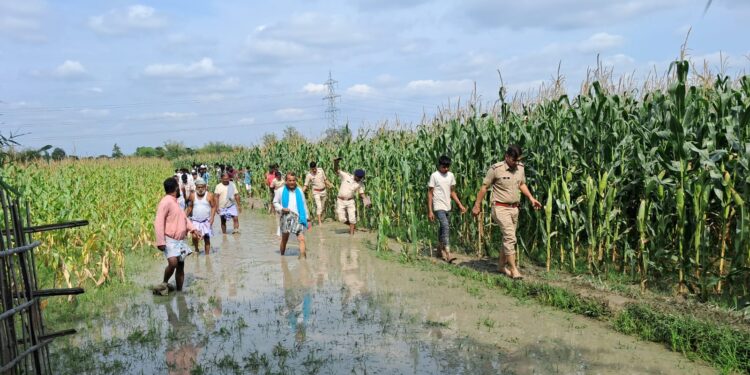 मकई के खेत में महिला की गला रेतकर हत्या, इलाके में फैली सनसनी