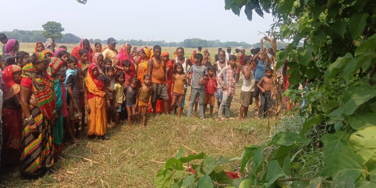 बांस की झाड़ी में अज्ञात महिला का शव मिलने से सनसनी, इलाके में फैली दहशत