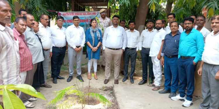 विश्व पर्यावरण दिवस के अवसर व्यवहार न्यायालय परिसर में वृक्षारोपण कार्यक्रम आयोजित