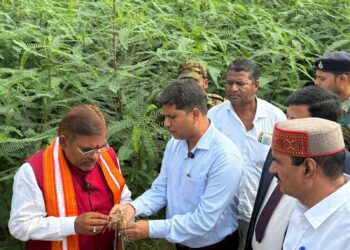 ढैंचा है मृदा का रक्षक : श्री हरि सहनी