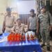 बरदाहा पुलिस ने 6.600 लीटर नेपाली देसी शराब के साथ एक तस्कर को किया गिरफ्तार