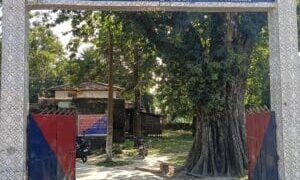 पलासी में 32.400 लीटर नेपाली शराब बरामद, तस्कर फरार