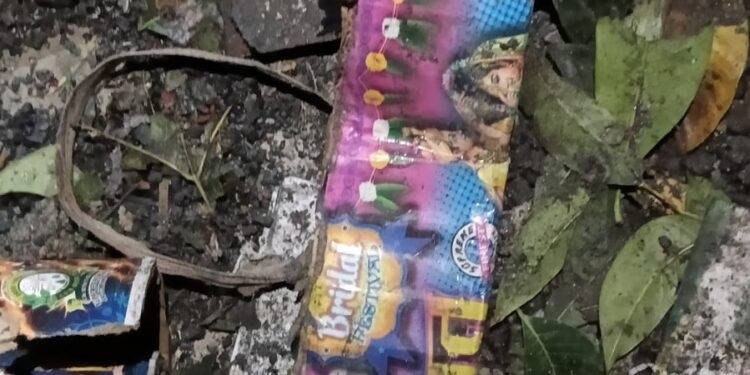 भरगामा – भरगामा में पटाखे की लड़ी बरामद, विस्फोट की जांच में जुटी पुलिस