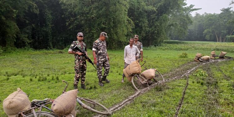 सिकटी – सिकटी में SSB की कार्रवाई, 700 किलो मक्का के साथ एक कारोबारी गिरफ्तार