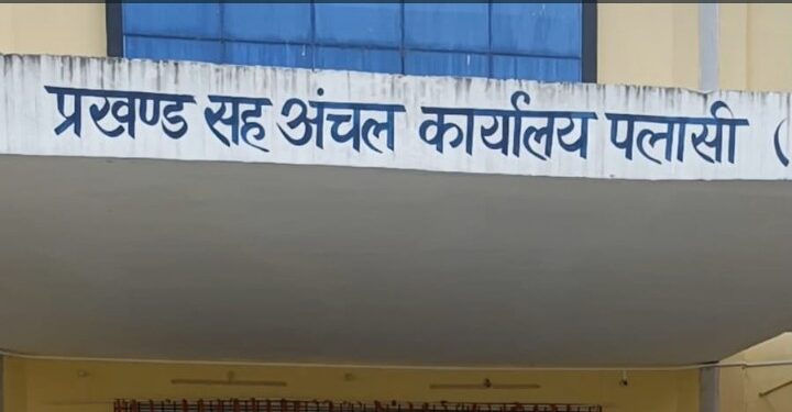 पलासी प्रखंड में 5 अक्टूबर को पलासी में लगेगा दिव्यांगजनों के लिए विशेष शिविर
